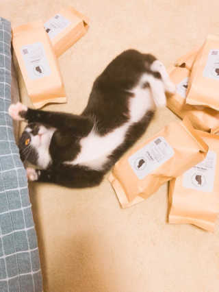 이은경님이 올린 리뷰 사진 1