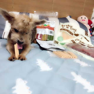 04mini04님이 올린 리뷰 사진 2