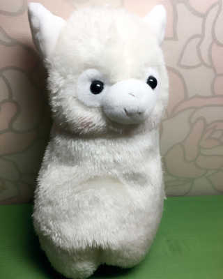 최한솔님이 올린 리뷰 사진 1