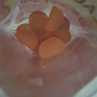락토조이 구미젤리 복숭아맛 — 5점을 준 리뷰어가 2019년 10월 올린 사용 사진
