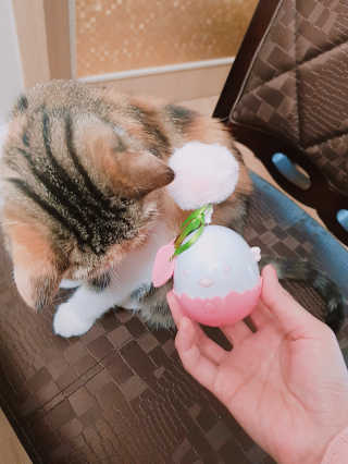 엘카몬님이 올린 리뷰 사진 4