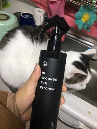 PEACE MOMENT 피스모먼트 인세컨즈포키친 320mL 천연살균소독제 — 4.67점을 준 리뷰어가 2018년 11월 올린 사용 사진
