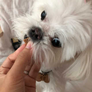 율리킴님이 올린 리뷰 사진 3