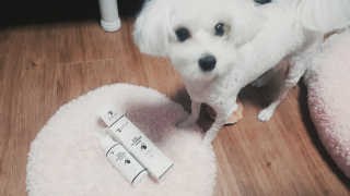 지영님이 올린 리뷰 사진 1