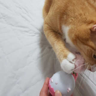 마이님이 올린 리뷰 사진 3