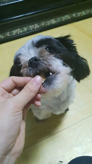 이슬님이 올린 리뷰 사진 2