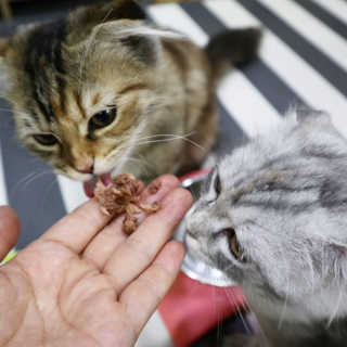 byyooom님이 올린 리뷰 사진 3