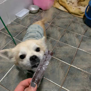 정다녕님이 올린 리뷰 사진 3