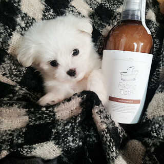 Ondalzzz님이 올린 리뷰 사진 3