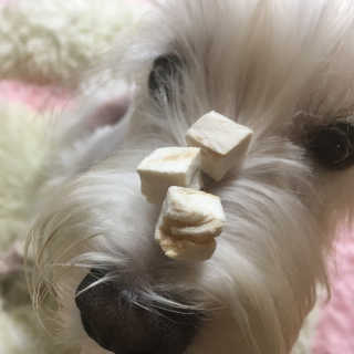 솔이님이 올린 리뷰 사진 2