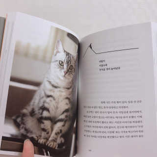 영둥이님이 올린 리뷰 사진 3