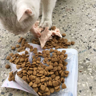 단발소녀님이 올린 리뷰 사진 2