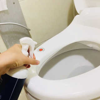 셀로몬 토일렛 스프레이 500ml — 5점을 준 리뷰어가 2018년 5월 올린 사용 사진