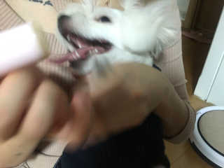 슬이님이 올린 리뷰 사진 2