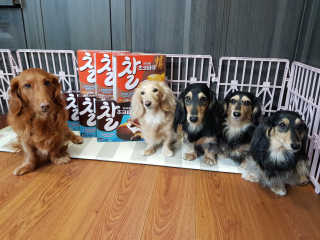 5_daks님이 올린 리뷰 사진 3