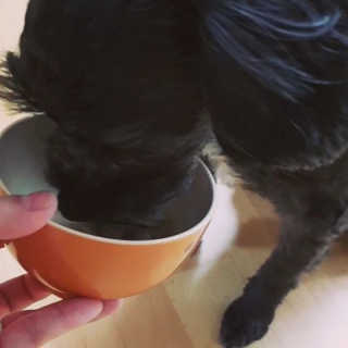 Jenny님이 올린 리뷰 사진 2