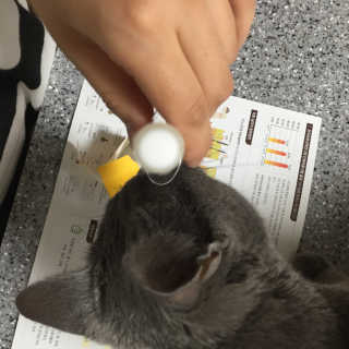 장진아님이 올린 리뷰 사진 3