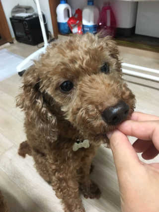 쥬비몬님이 올린 리뷰 사진 2