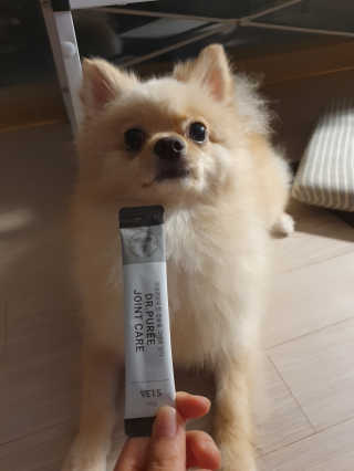 포비탄님이 올린 리뷰 사진 1