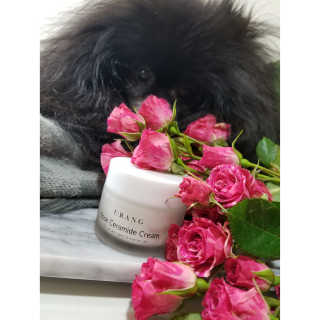 Peepingpomeranian님이 올린 리뷰 사진 1