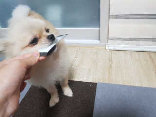 nhj0963님이 올린 리뷰 사진 2