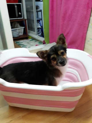 꽃수니어니님이 올린 리뷰 사진 2