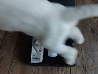 좋아님이 올린 리뷰 사진 4