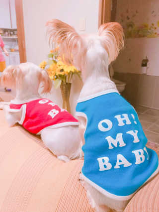 소카이트님이 올린 리뷰 사진 4