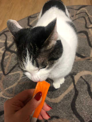 CaroHong님이 올린 리뷰 사진 4