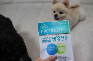 코랑이님이 올린 리뷰 사진 3