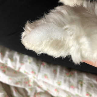 미나리님이 올린 리뷰 사진 3