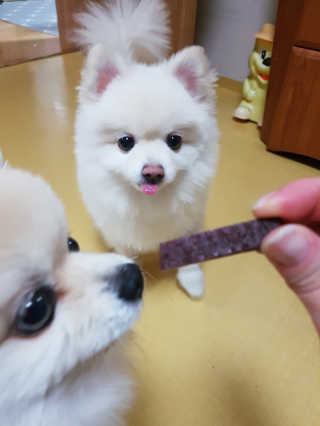 정민경님이 올린 리뷰 사진 1