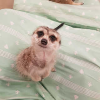JiEunJeon님이 올린 리뷰 사진 1