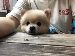 JaeIN님이 올린 리뷰 사진 3
