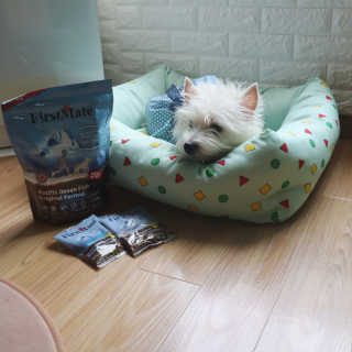 jj스타일님이 올린 리뷰 사진 1