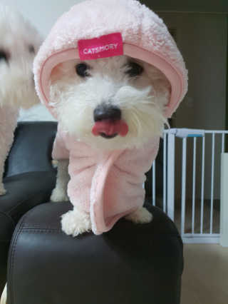 나님a님이 올린 리뷰 사진 1