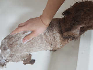 정현님이 올린 리뷰 사진 3