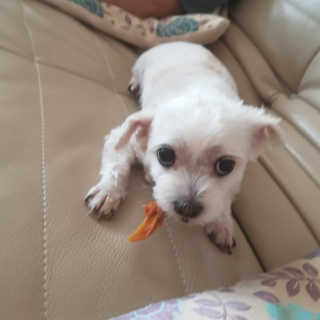 유진님이 올린 리뷰 사진 1