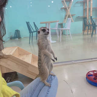 둡보이님이 올린 리뷰 사진 3