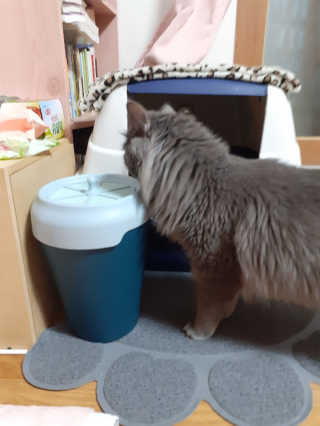 쪼꼬사랑이언니님이 올린 리뷰 사진 4