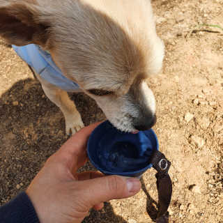 한동동님이 올린 리뷰 사진 3