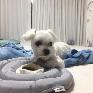 제진영님이 올린 리뷰 사진 2