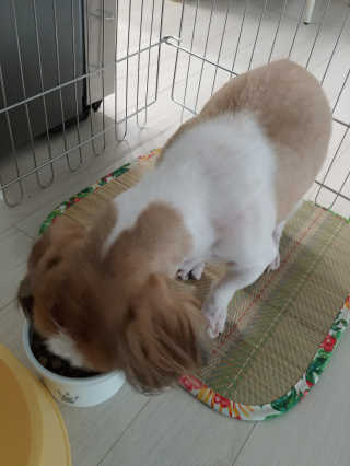 단우맘님이 올린 리뷰 사진 4