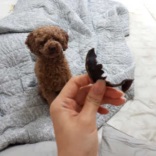 김민주님이 올린 리뷰 사진 4