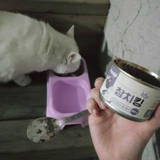 채하님이 올린 리뷰 사진 1