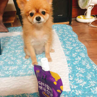 soymilk님이 올린 리뷰 사진 1