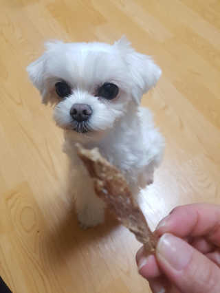 뽀오오옹님이 올린 리뷰 사진 2
