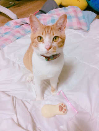JiHyeHan님이 올린 리뷰 사진 3