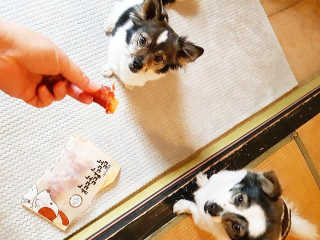 AnaisSH님이 올린 리뷰 사진 2