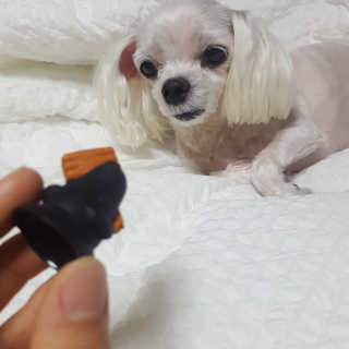 오윤택님이 올린 리뷰 사진 2